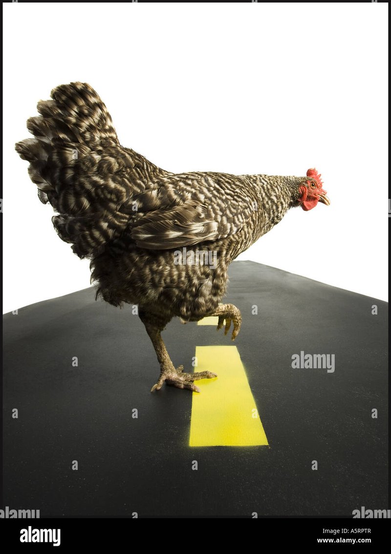 Descubre las apuestas emocionantes en el famoso Chicken Road Casino en España, chicken road oficial
